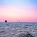 Gallery Thumbnail 1