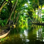 Gallery Thumbnail 1