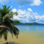 Gallery Thumbnail 2