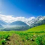 shutterstock_394895584
